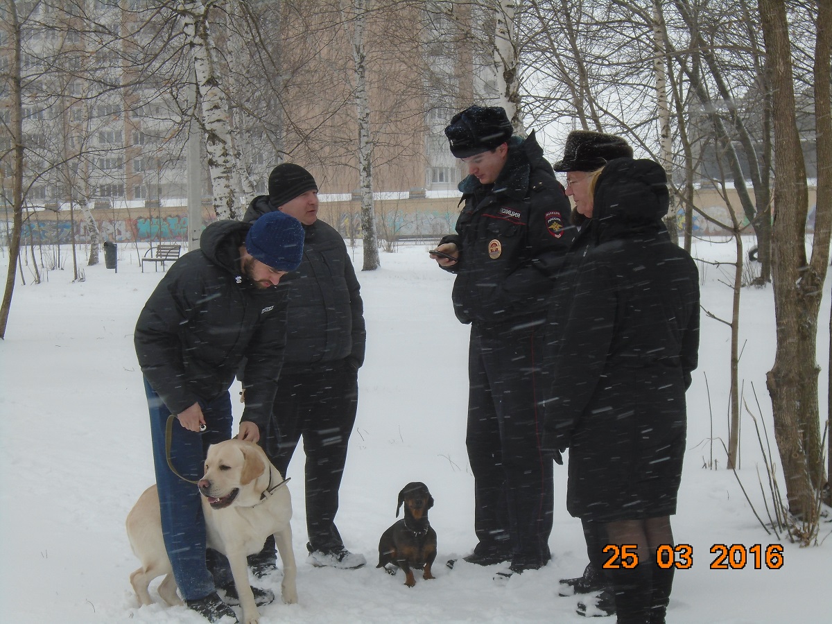 В Московском районе проведен рейд на предмет нарушений правил благоустройства города 25.03.2016