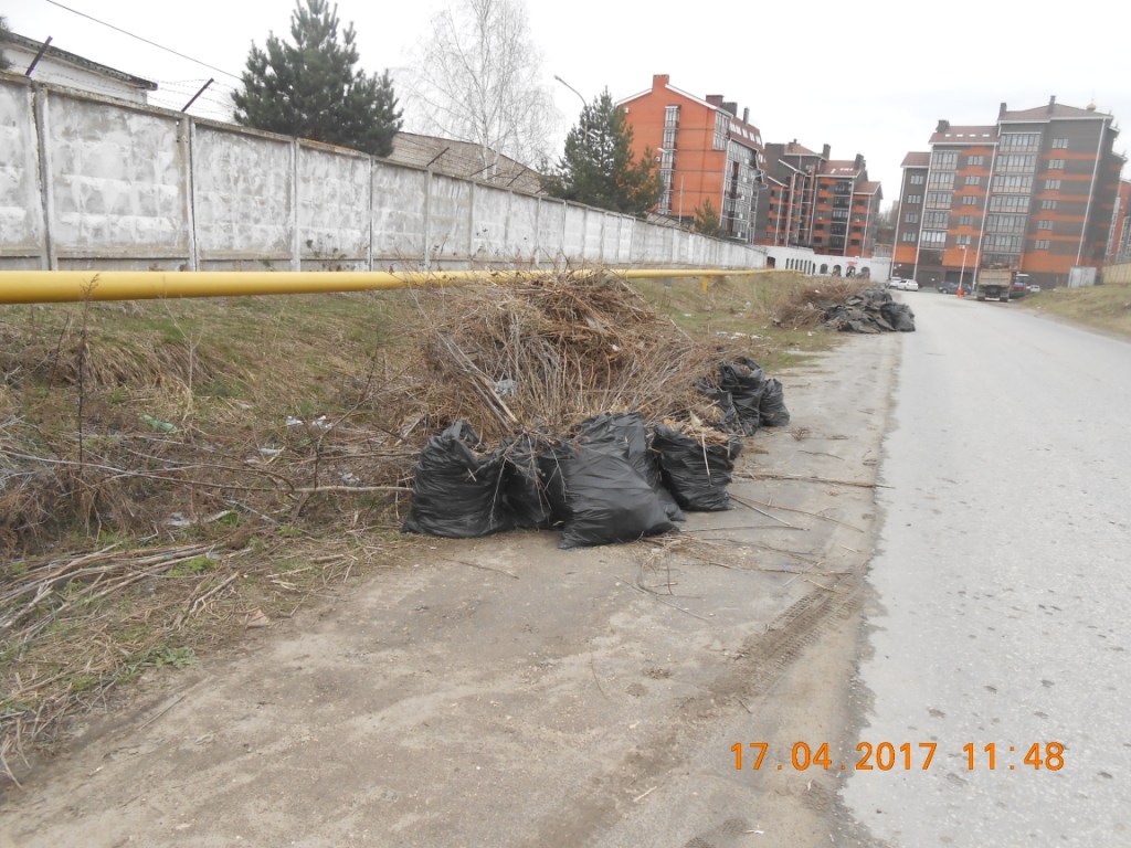 Жители Советского района активно принимают участие в весенней уборке города 17.04.2017