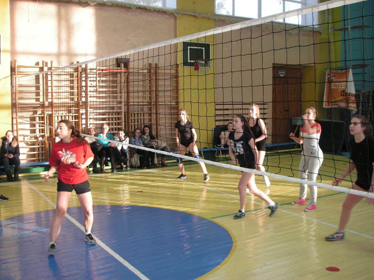 Школьники Московского района приняли участие в соревнованиях по волейболу 12.02.2016