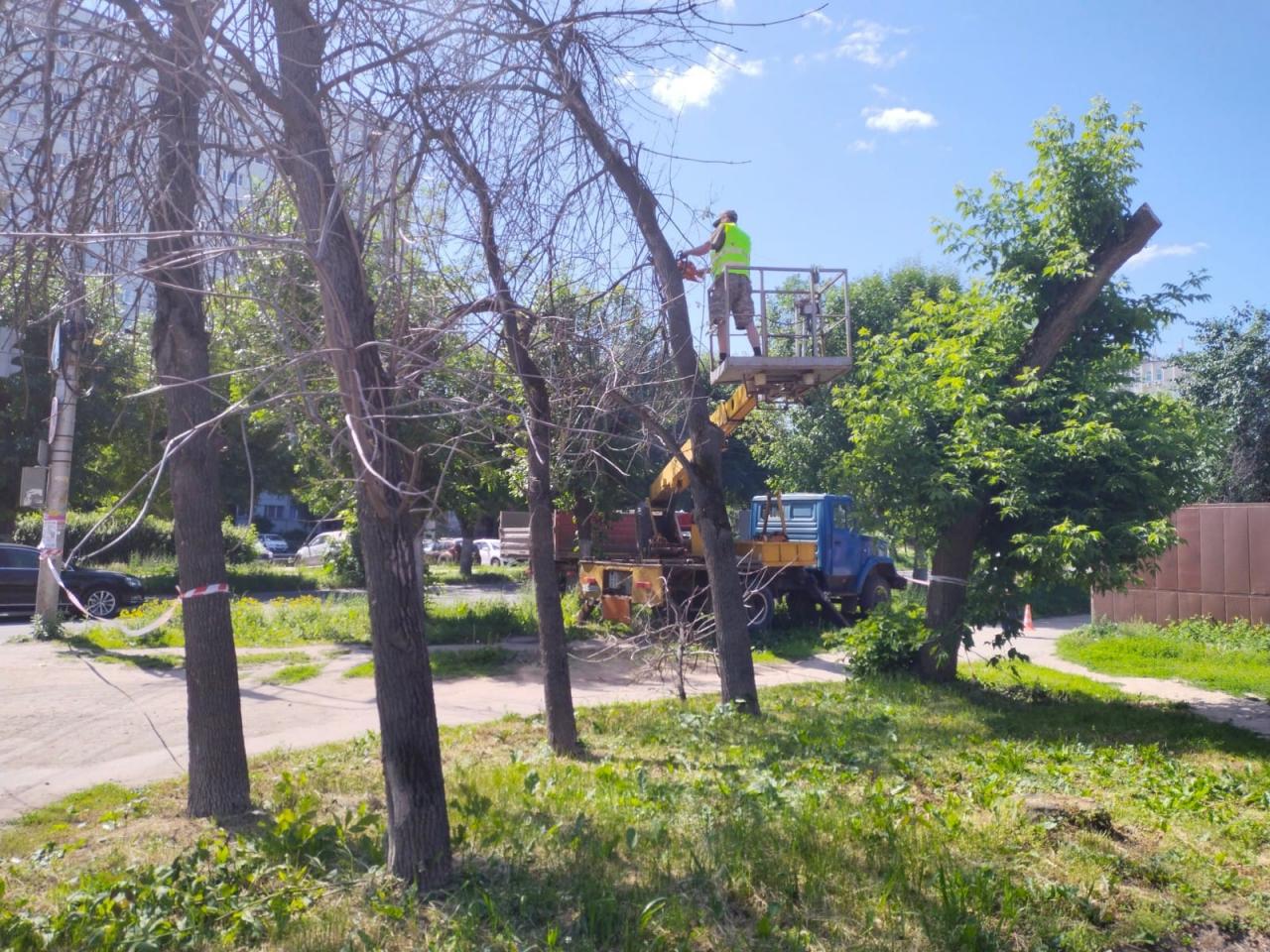 МКУ "УДТ города Рязани" организованы работы по спилу аварийных деревьев 29.06.2022