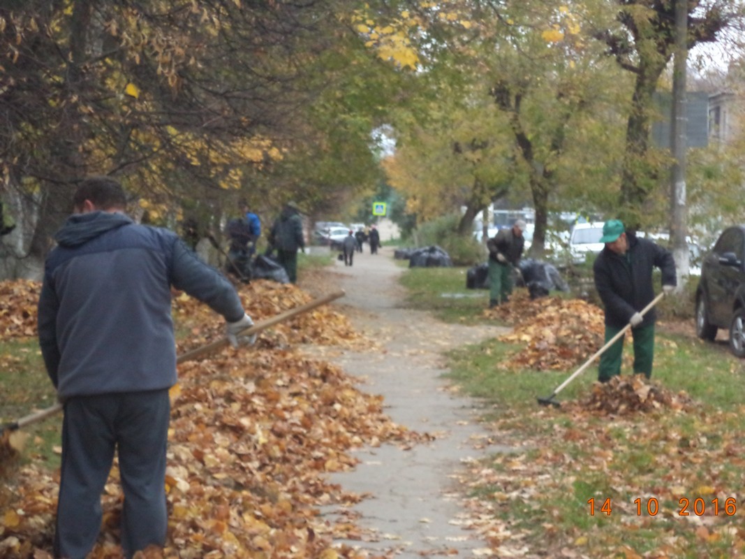 В Московском районе работники горбольницы №5 вышли на уборку листвы 14.10.2016