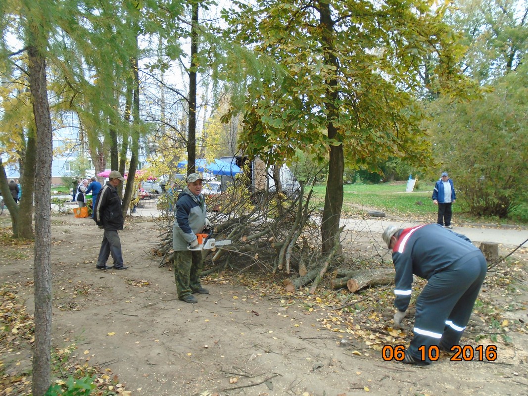 В Московском районе продолжаются работы по опиловке и сносу аварийных деревьев 07.10.2016