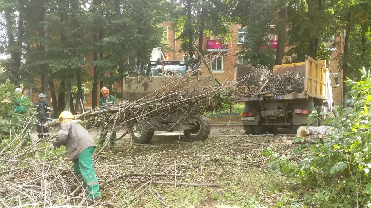 Снос деревьев и вывоз древесных отходов