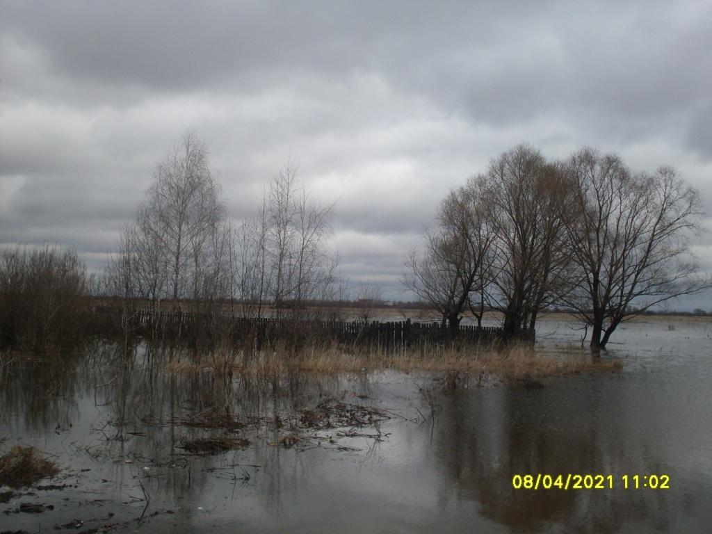 Cотрудниками МКУ "УДТ города Рязани" осуществляется мониторинг паводковой ситуации 08.04.2021