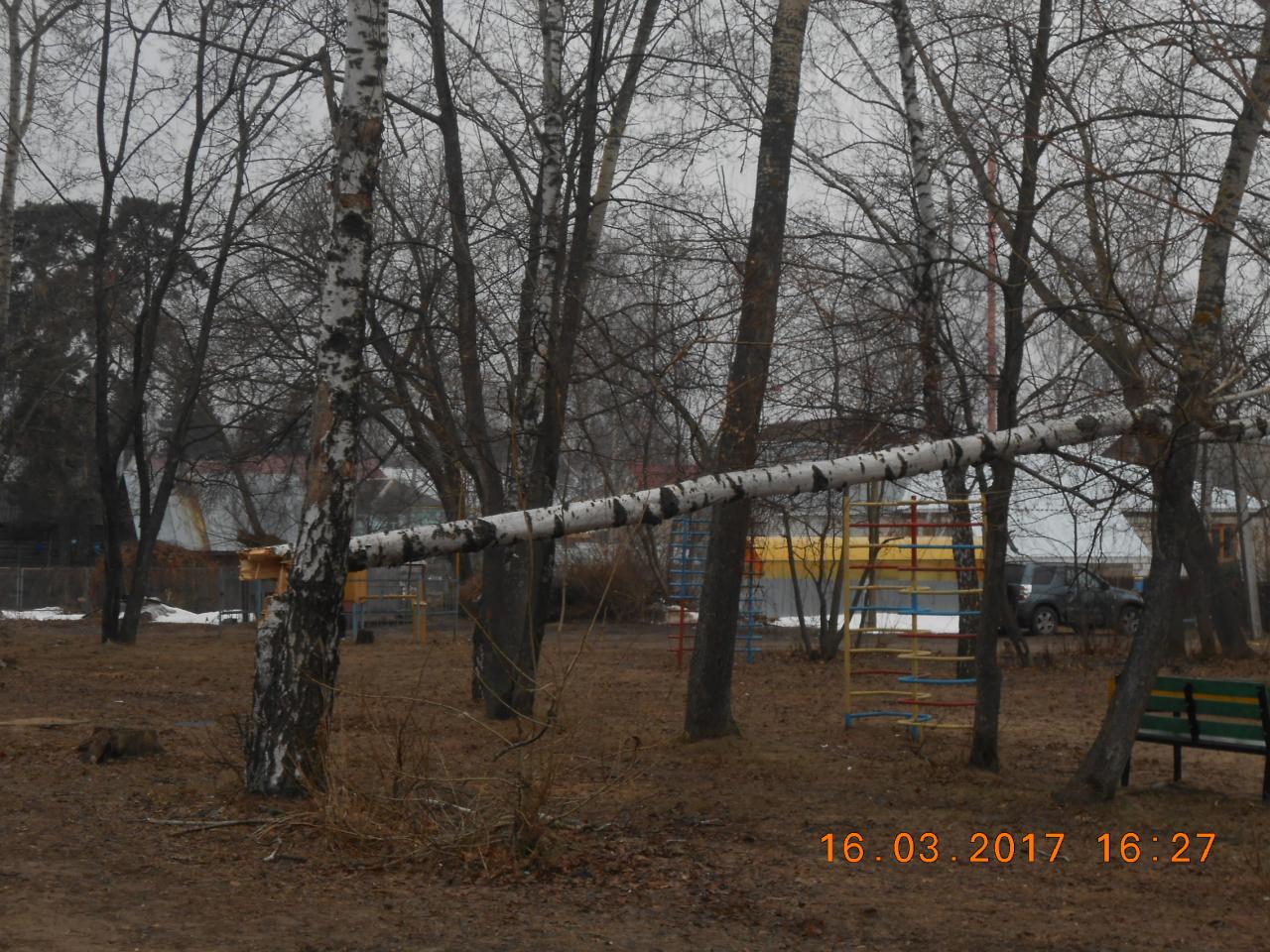 В Солотче проведена работа по сносу аварийных деревьев 20.03.2017