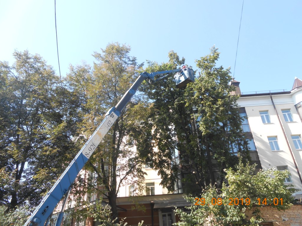Проводятся работы по санитарной обрезке деревьев 02.09.2019