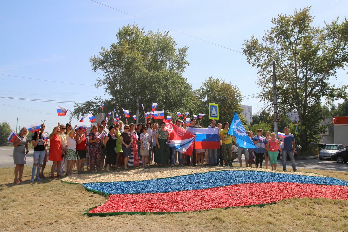 В Московском районе высажена клумба «Флаг России»  23.08.2017