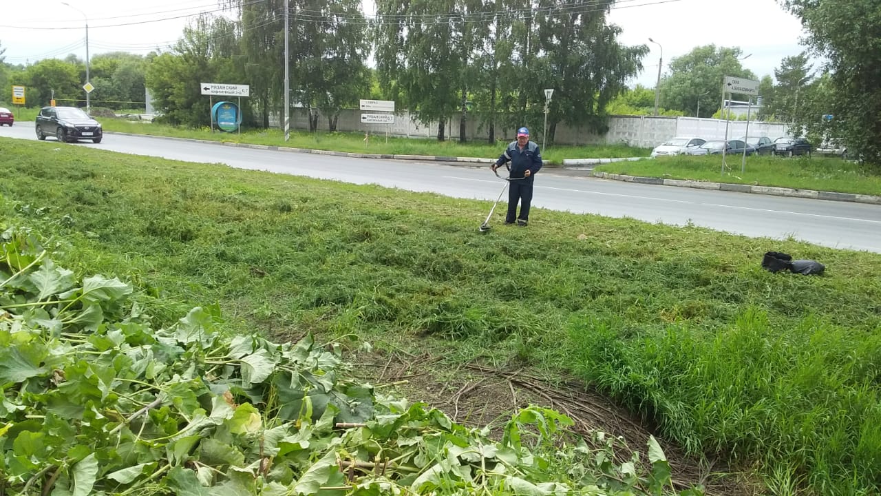 Проведены работы по окосу травы на Михайловском шоссе