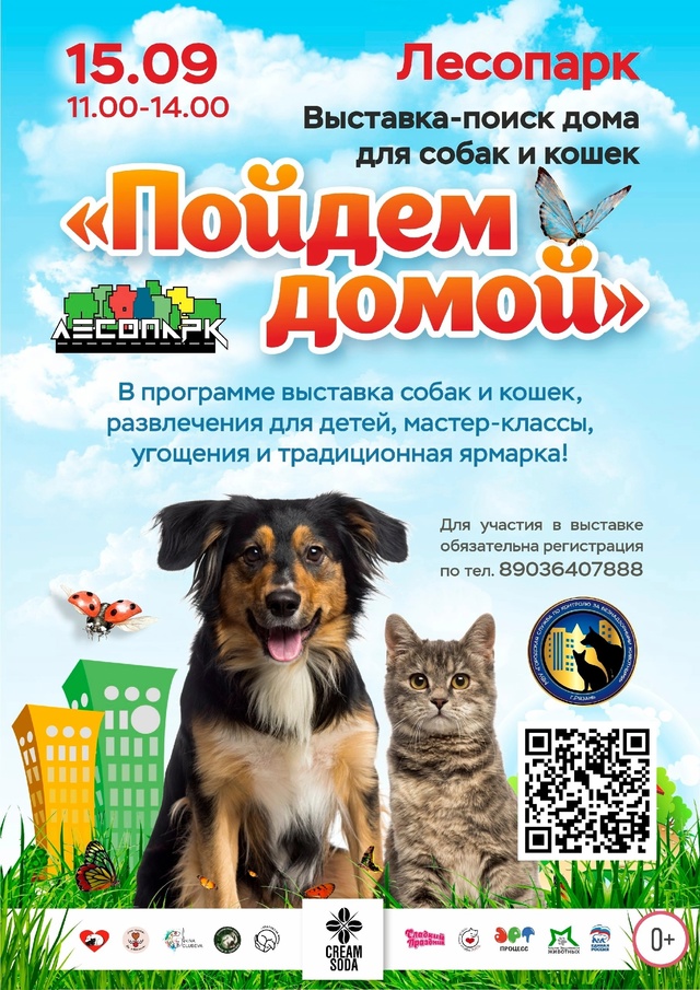 «Пойдем домой»: в Рязани пройдет выставка бездомных животных