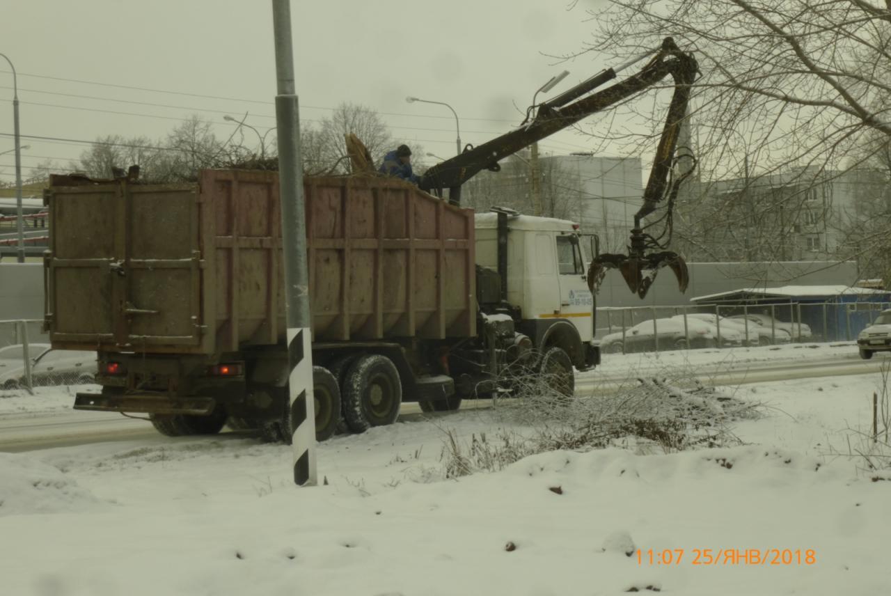20 кубометров древесных отходов вывезли с Михайловского шоссе