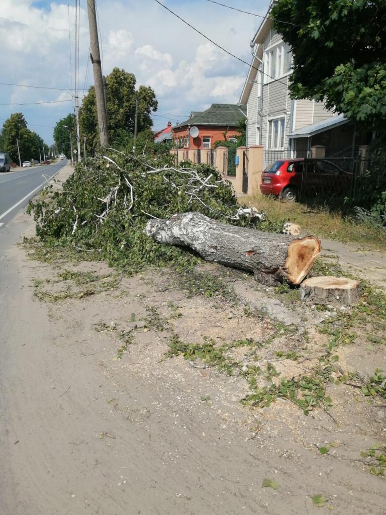 Организованы работы по опиловке аварийных деревьев в поселке Солотча 06.07.2022