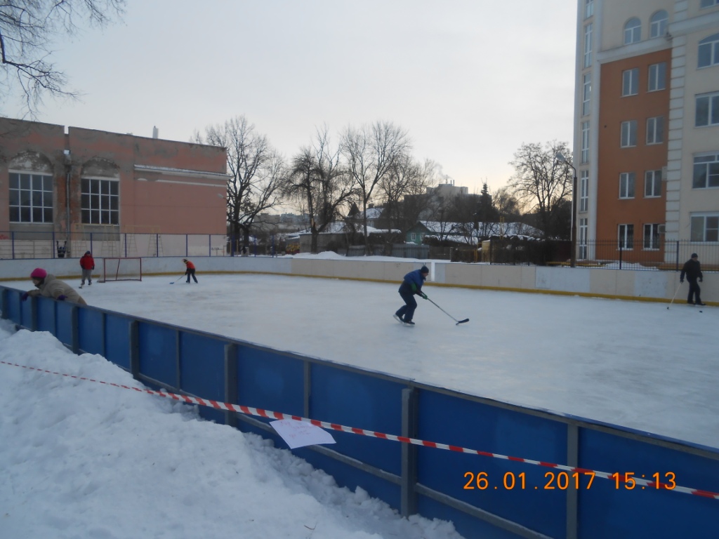 Проводится контроль содержания и функционирования хоккейных площадок и катков 27.01.2017