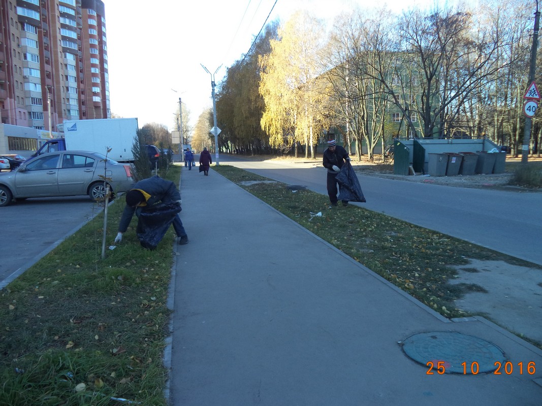 В Московском районе продолжаются работы по подбору мусора 25.10.2016