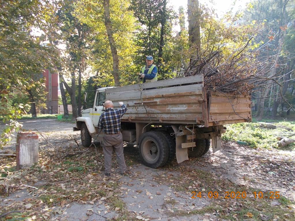 Организованы работы по вывозу спиленных деревьев 24.09.2020