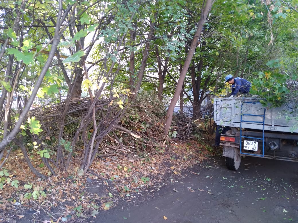 Вырубка поросли и вывоз древесных отходов в районе дома №14 по улице Дзержинского