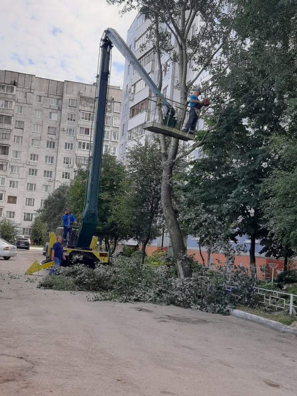 На территории Московского района проводятся работы по сносу сухих и аварийных деревьев 27.08.2020