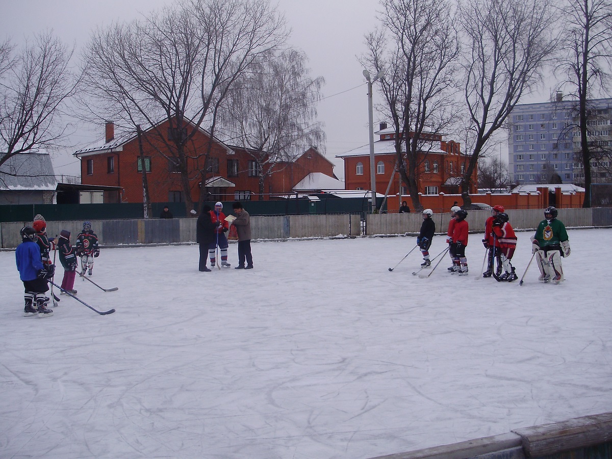 Юные спортсмены из Московского района приняли участие в соревнованиях по хоккею с мячом 11.01.2016