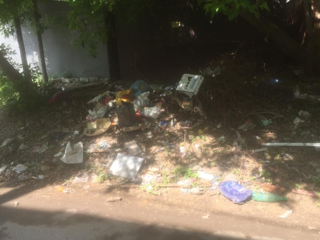 Организованы работы по подбору и вывозу мусора в районе дома 73 по улице Кальной 06.06.2019