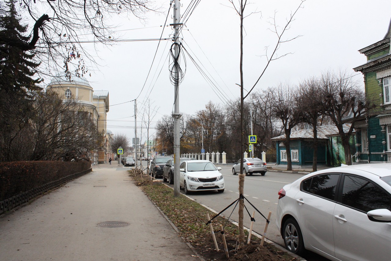 В областном центре высадили ещё 79 деревьев