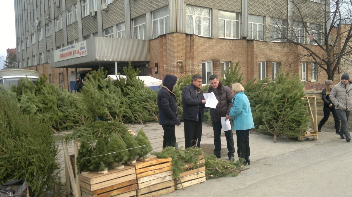 В Московском районе города Рязани проверили соблюдение правил благоустройства 28.12.2015