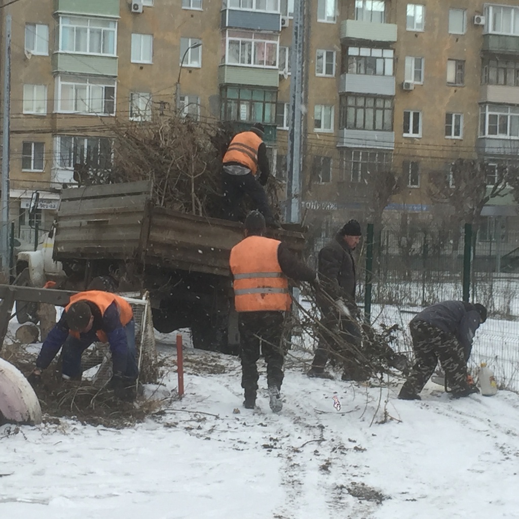 Проведены работы по сносу аварийного дерева и обрезке деревьев по просьбе жителей улицы Краснорядская 05.02.2020