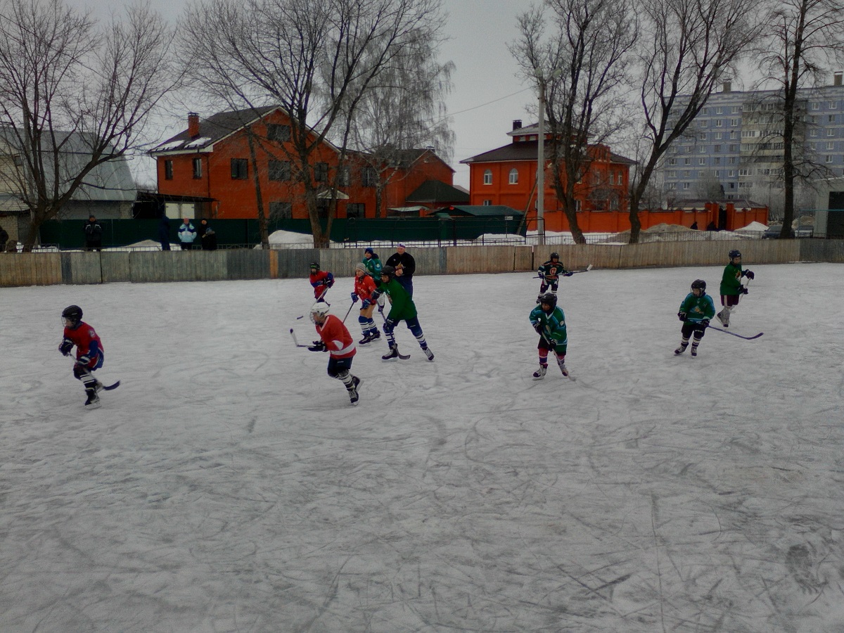В Московском районе прошли соревнования по хоккею 24.02.2016