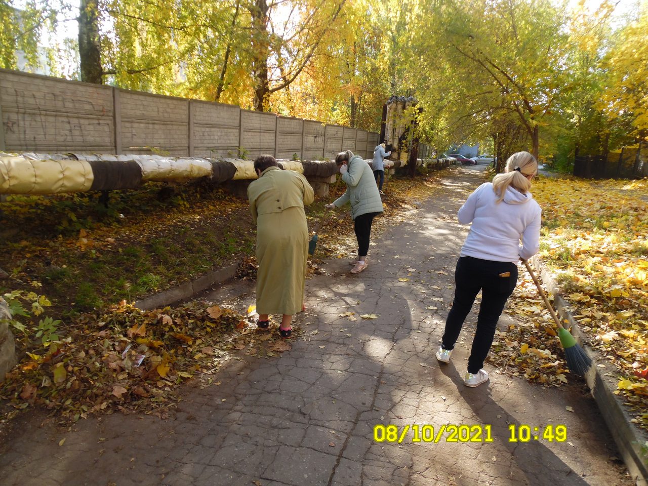 В организациях Московского района стартовал осенний месячник по благоустройству и санитарной очистке территории 08.10.2021
