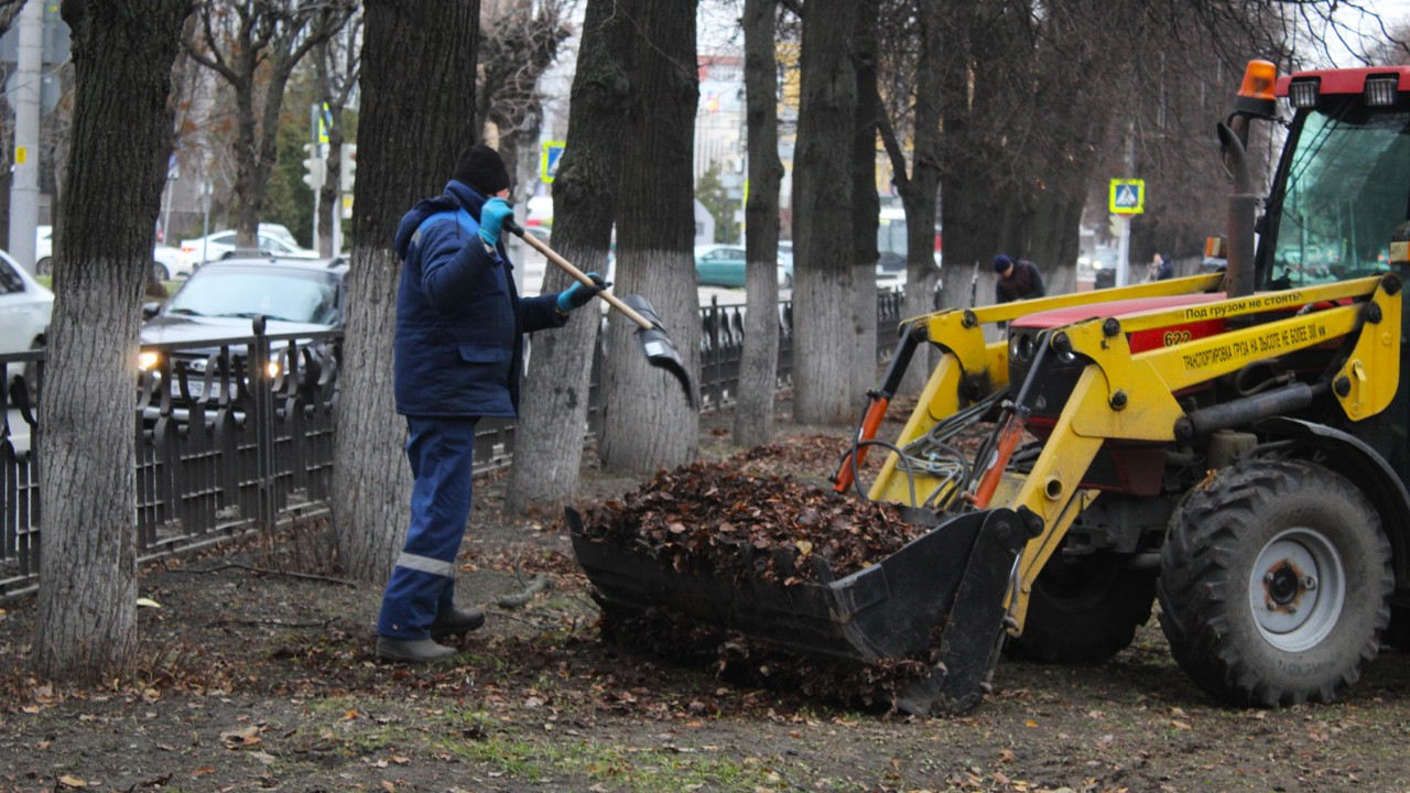 Продолжается вывоз листвы с городских территорий