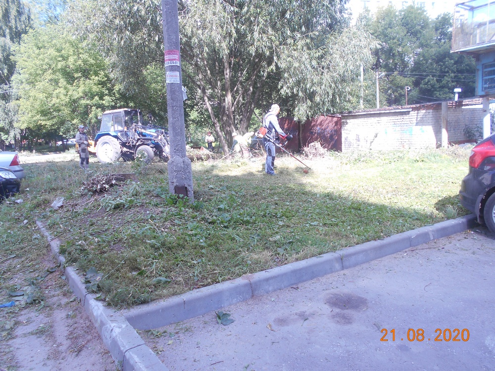О вывозе свалок, удалении дикорастущей поросли и окосе травы на муниципальной территории Октябрьского района