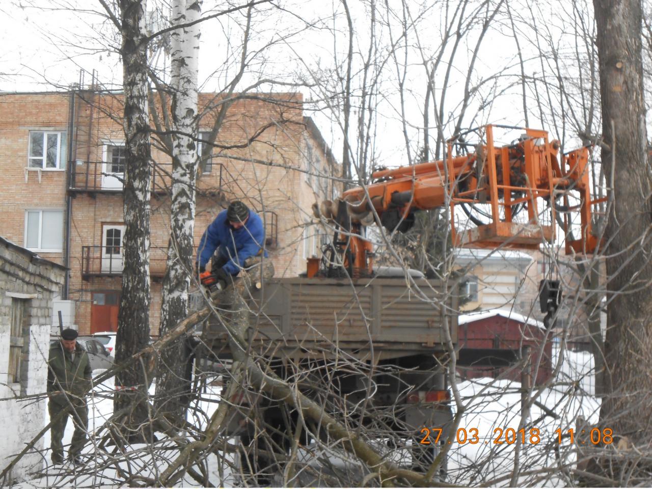 На территории школы №44 проведены работы по опиловке старовозрастных и аварийных деревьев