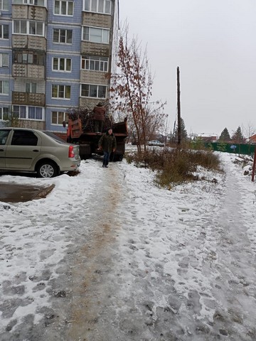 В Московском районе ликвидирована свалка древесных отходов 23.11.2022