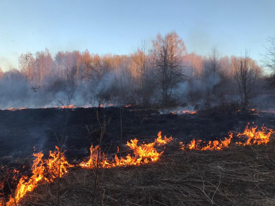 В Октябрьском районе проводятся рейды по выявлению очагов возгорания сухой травы