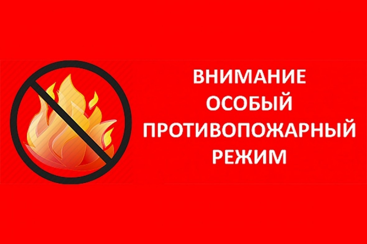 На территории Рязанской области установлен особый противопожарный режим 26.04.2023