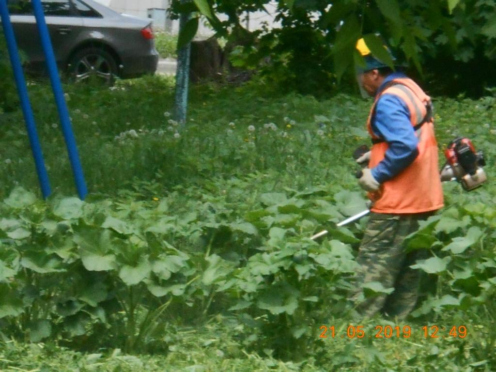 В Советском районе приступили к работам по окосу травы на дворовых территориях многоквартирных домов 23.05.2019