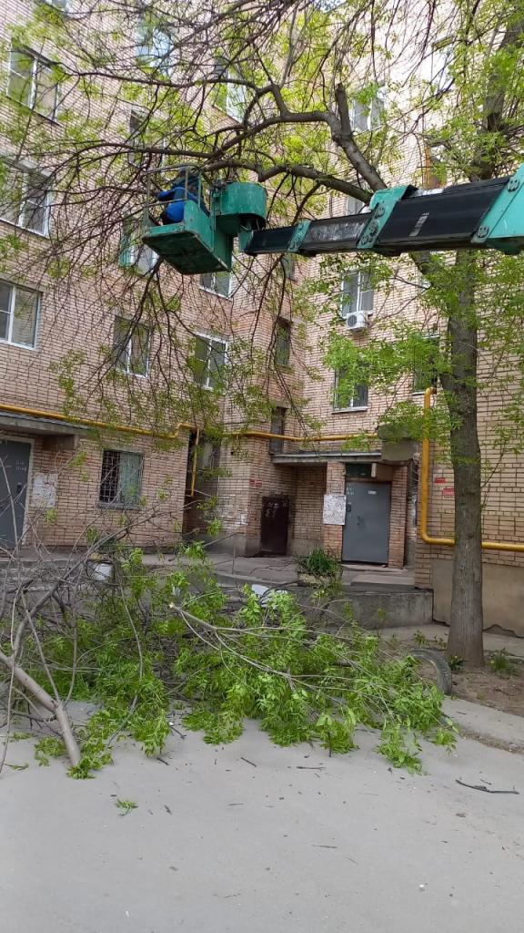 В Советском районе проводятся работы по обрезке деревьев 12.05.2023