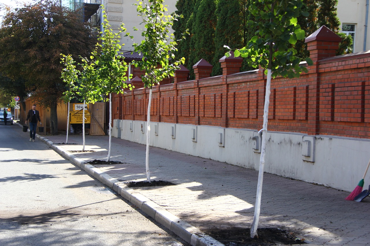 В Рязани стартовала акция по озеленению города