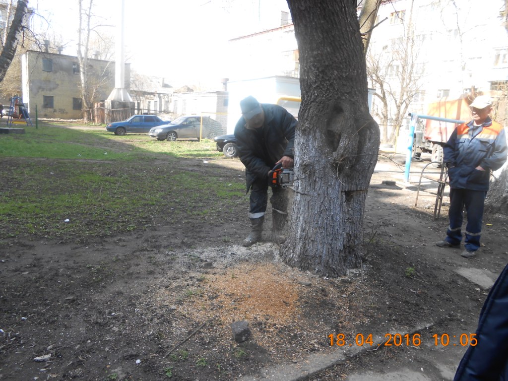 Организованы работы по сносу аварийных деревьев в Советском районе