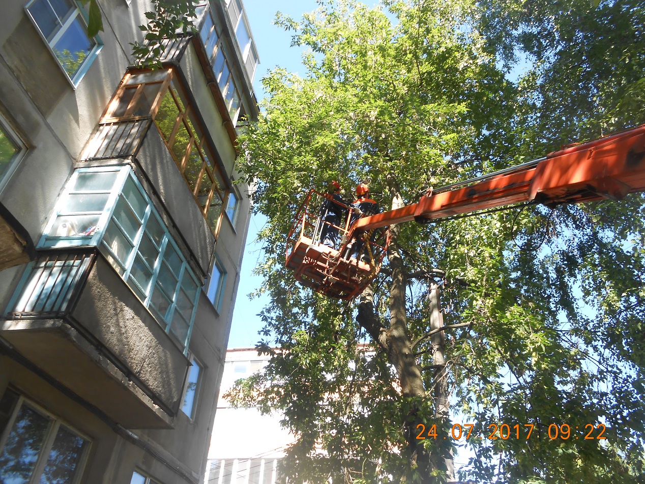 В Советском районе продолжаются работы по санитарной обрезке деревьев 24.07.2017