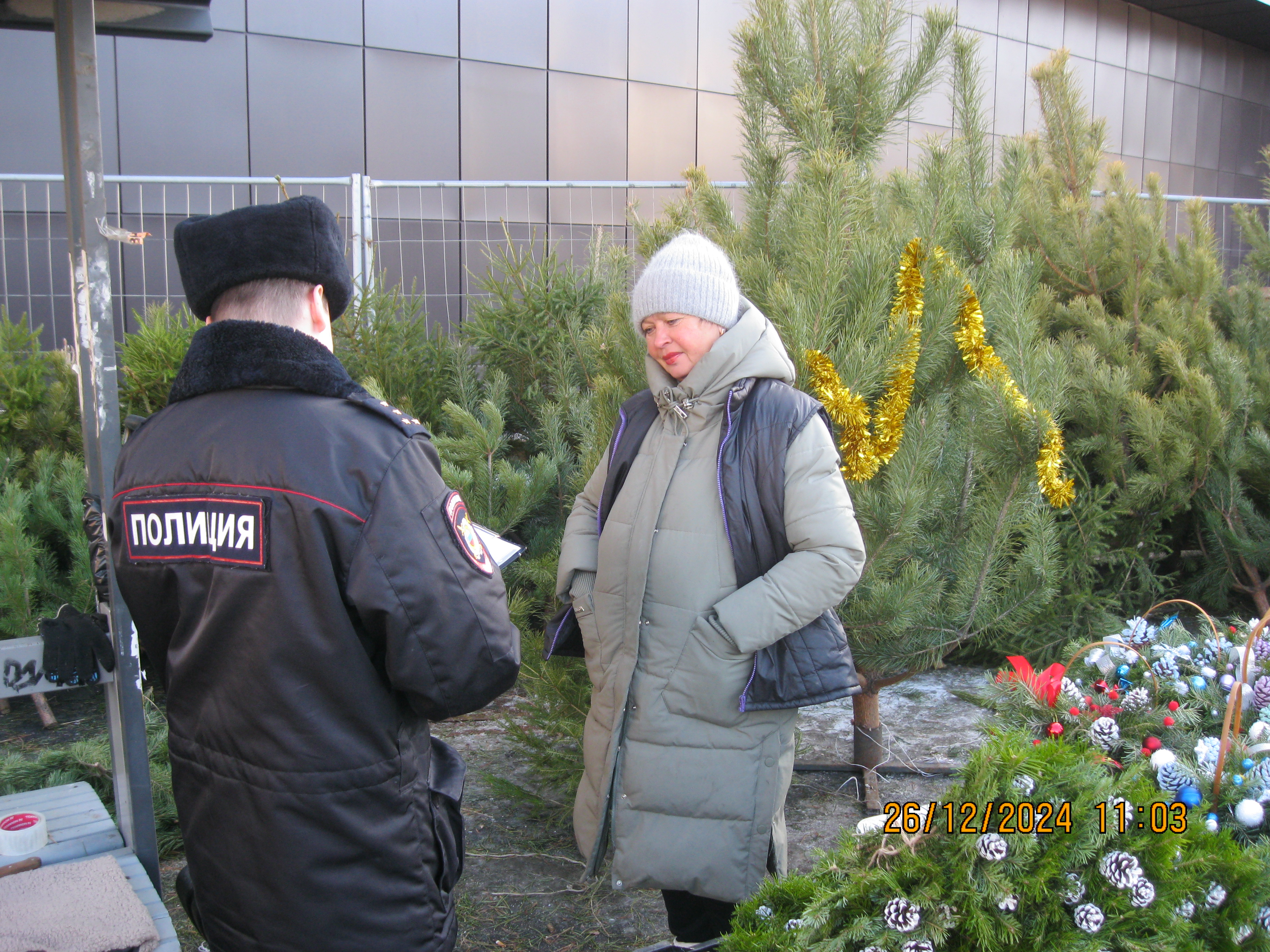 В Рязани проводятся рейды по выявлению несанкционированной торговлей елками