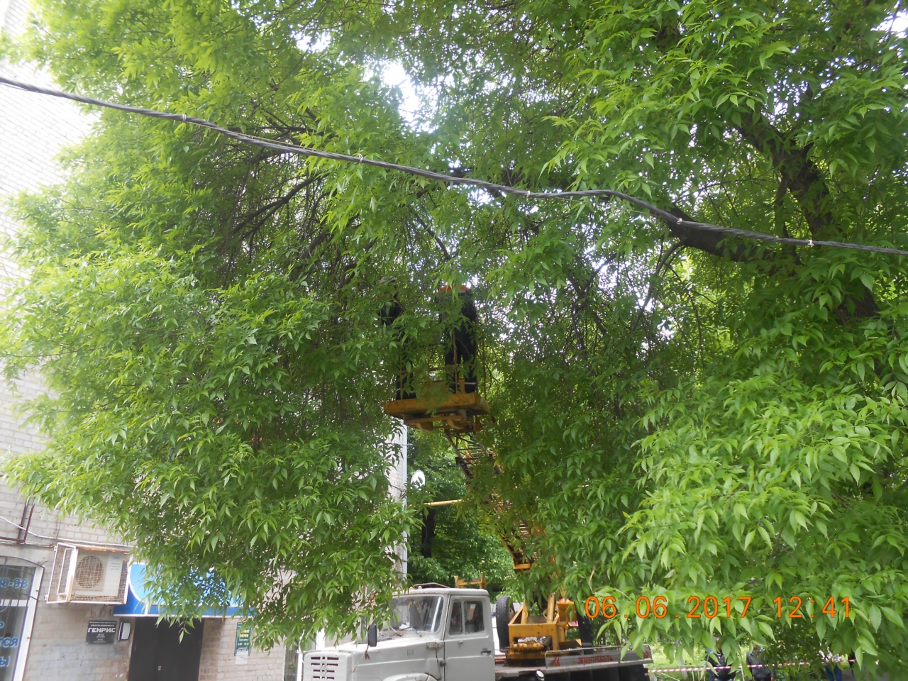 Префектурой Октябрьского района организованы работы по обрезке деревьев