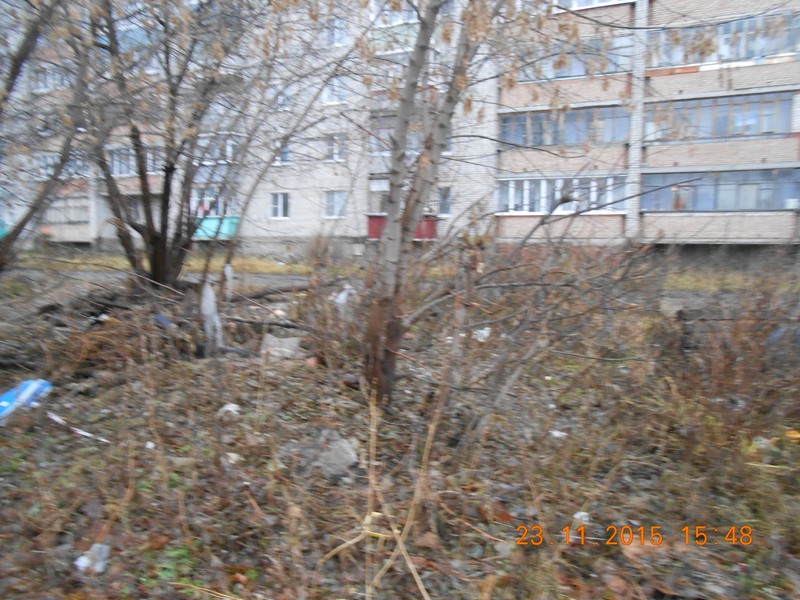 Организована санитарная уборка территории в Советском районе