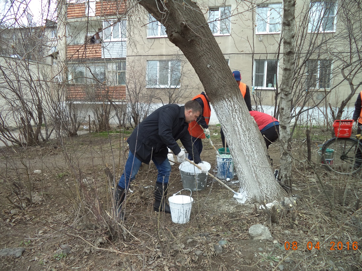 На улицах Московского района проведены работы по побелке деревьев 11.04.2016