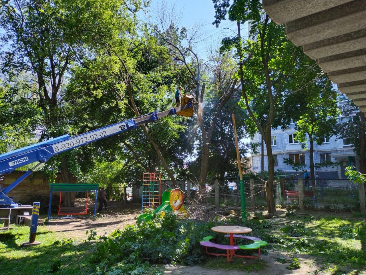 Организованы работы по опиловке аварийных деревьев на территории детского сада № 141 07.07.2022