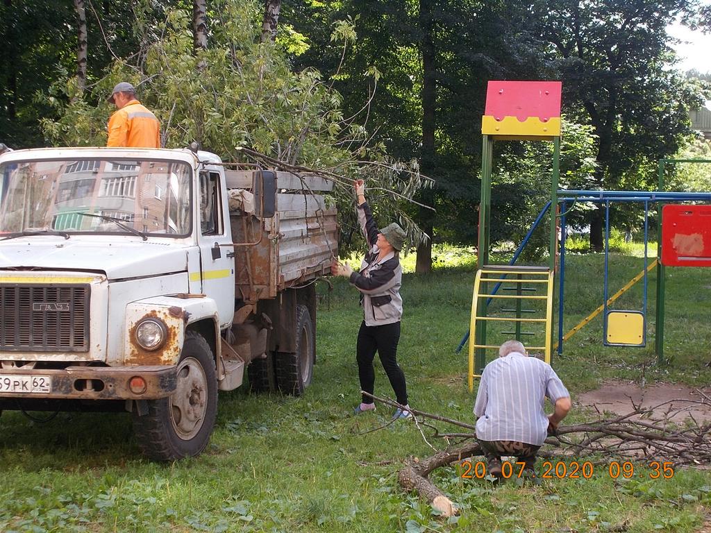 Организованы работы по санитарной обрезке деревьев 20.07.2020