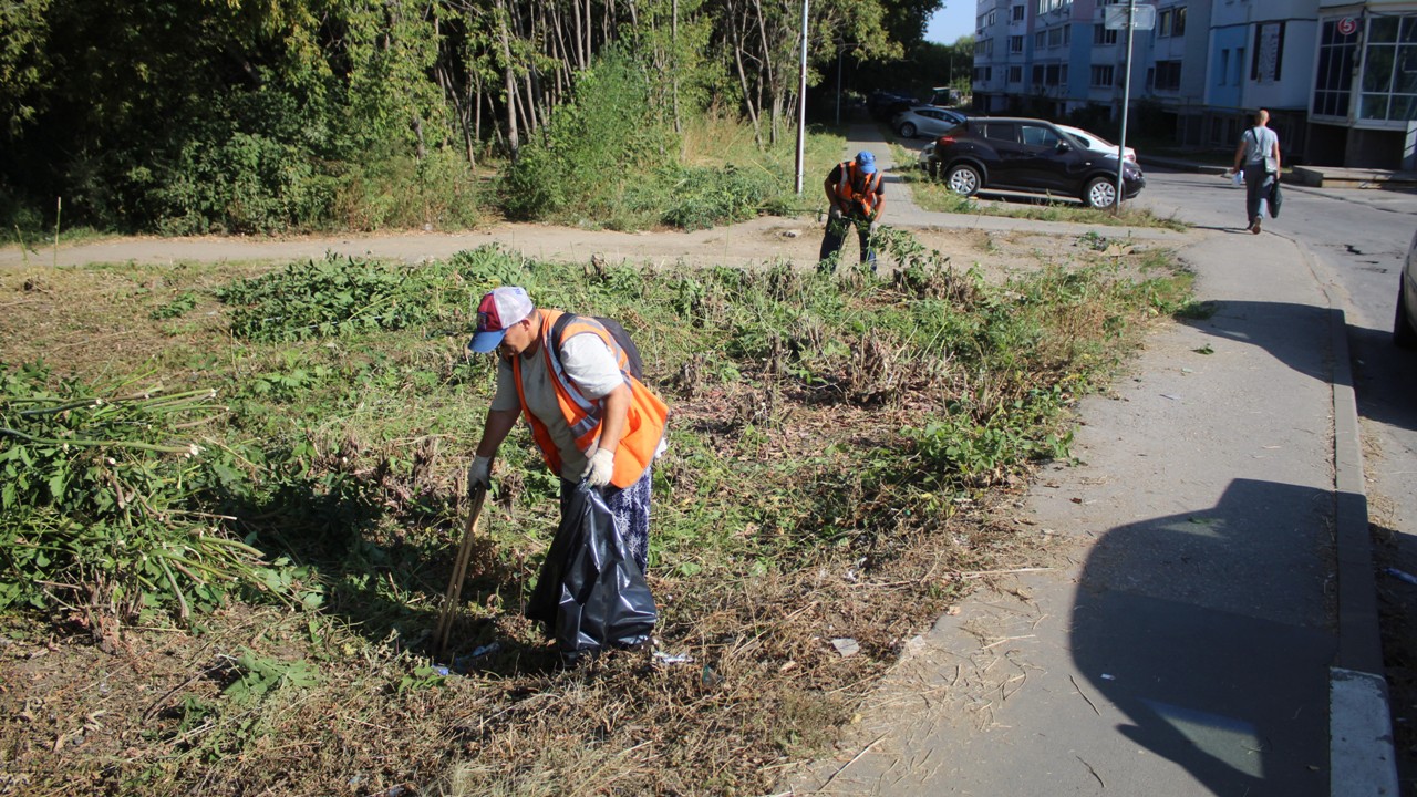 Дирекция благоустройства проводит сезонные работы