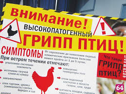 МКУ "УДТ города Рязани" информирует население о прифилактике птичьего гриппа 23.06.2022