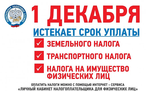 МКУ "УДТ города Рязани" напоминает о необходимости уплаты имущественных налогов за 2020 год до 1 декабря 14.10.2021