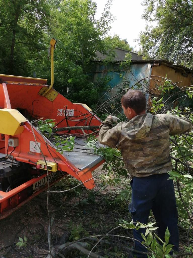 В Московском районе проводятся работы по сносу и опиловке сухих и аварийных деревьев 13.08.2020