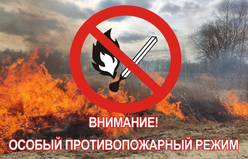 Работники МКУ "УДТ города Рязани" напомнили гражданам о введении в Рязанской области   особого  противопожарного режима