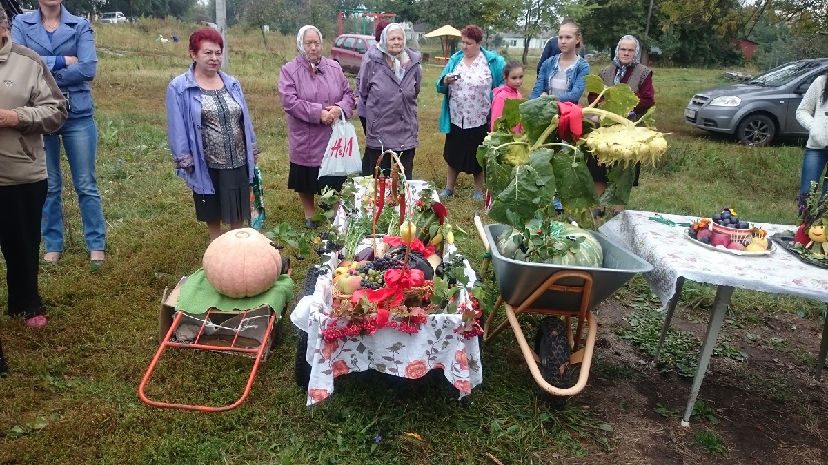 В поселке Недостоево прошел праздник урожая 10.09.2015